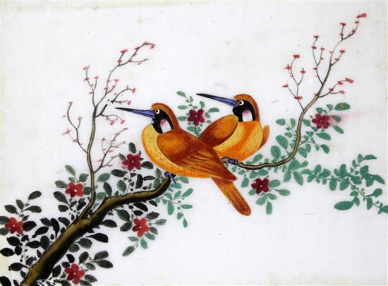 A scrap album of fourteen Chinese pith paintings, 19th century album 28.5 x 25cm